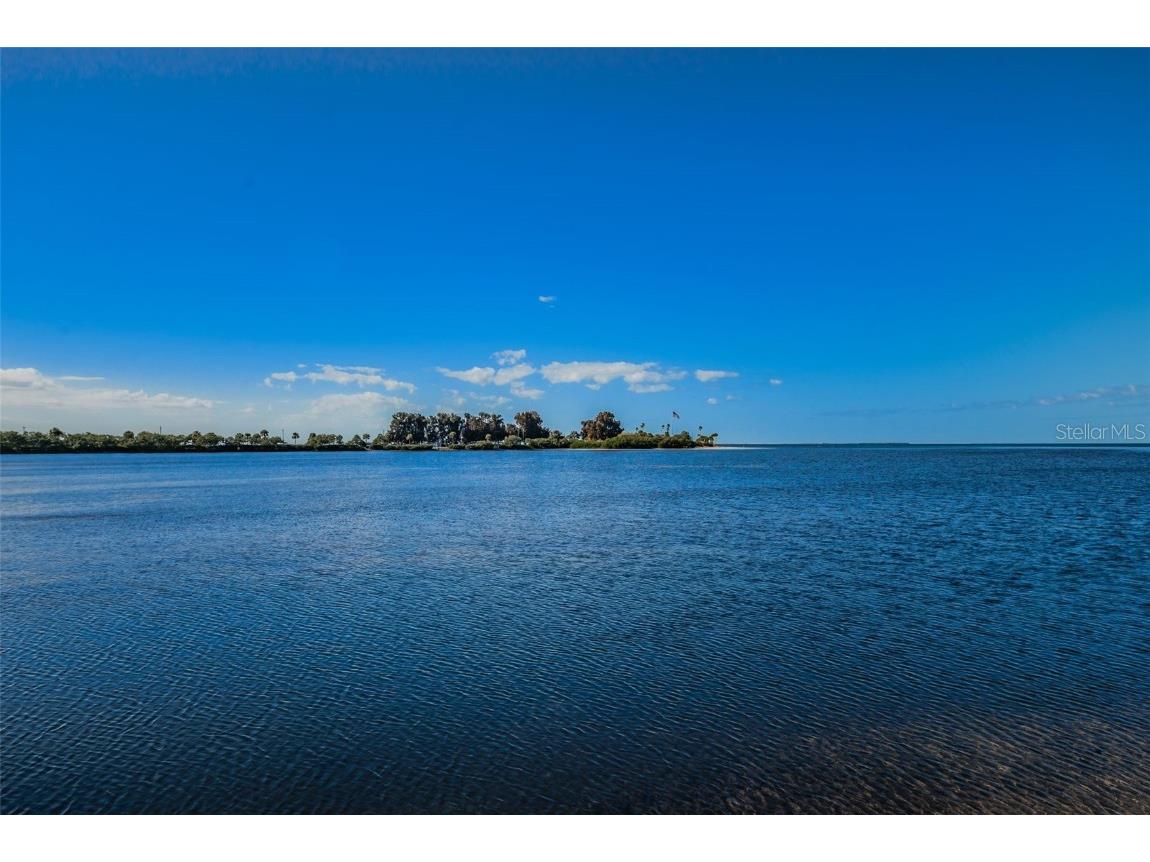 421 Windrush Bay Drive #421 Tarpon Springs FL 34689 TB8451661 image52