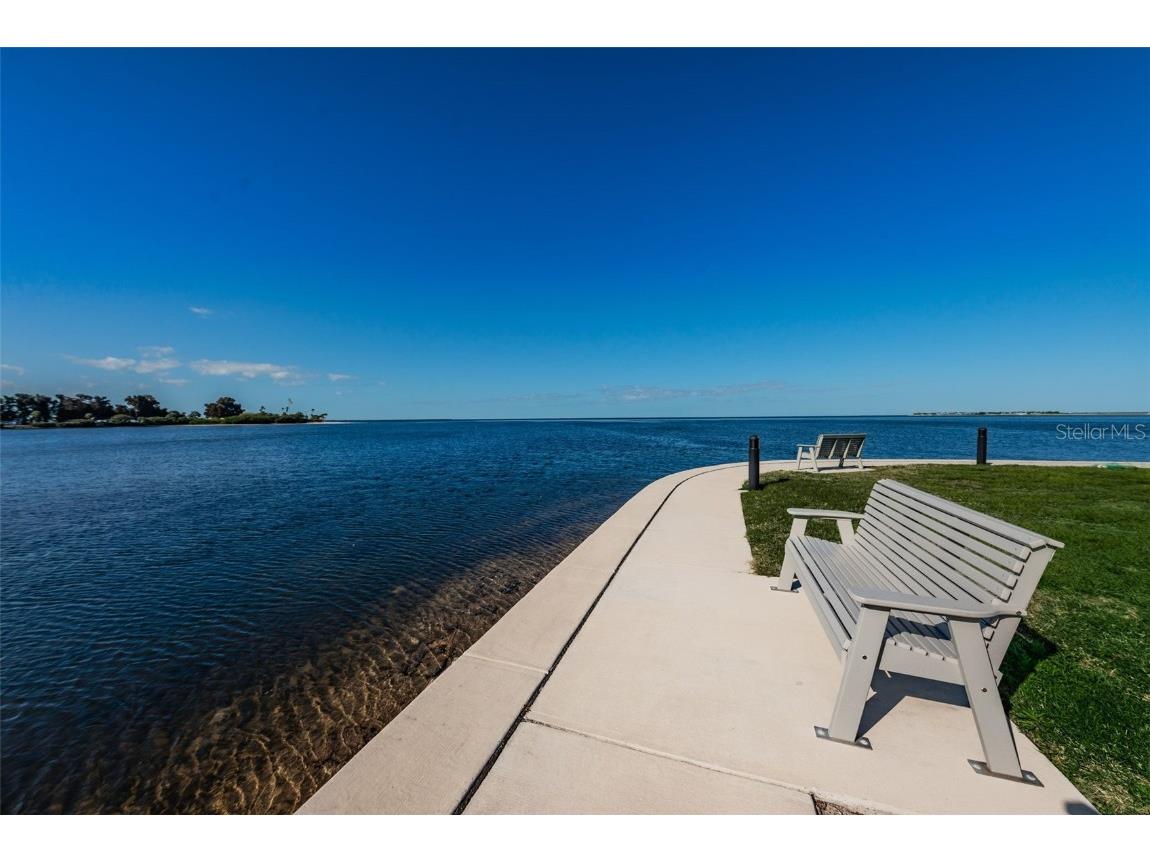 421 Windrush Bay Drive #421 Tarpon Springs FL 34689 TB8451661 image53