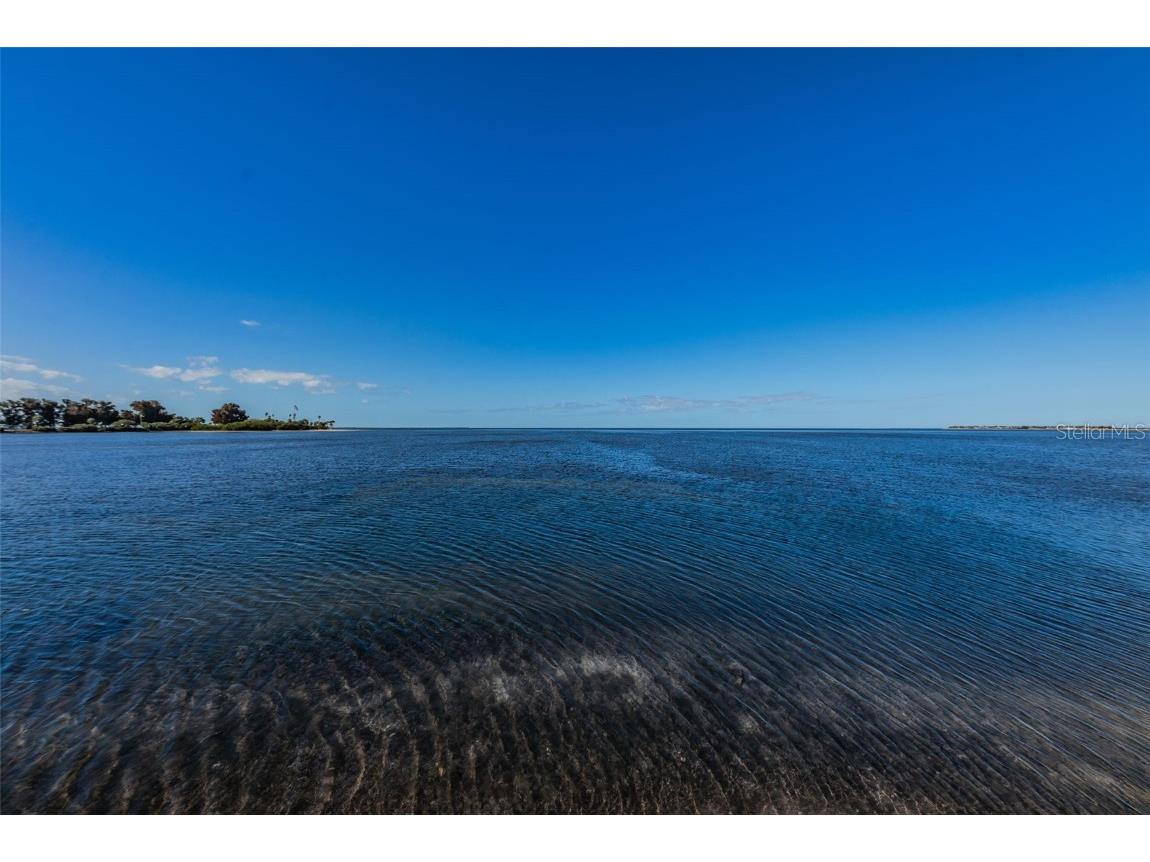 421 Windrush Bay Drive #421 Tarpon Springs FL 34689 TB8451661 image55