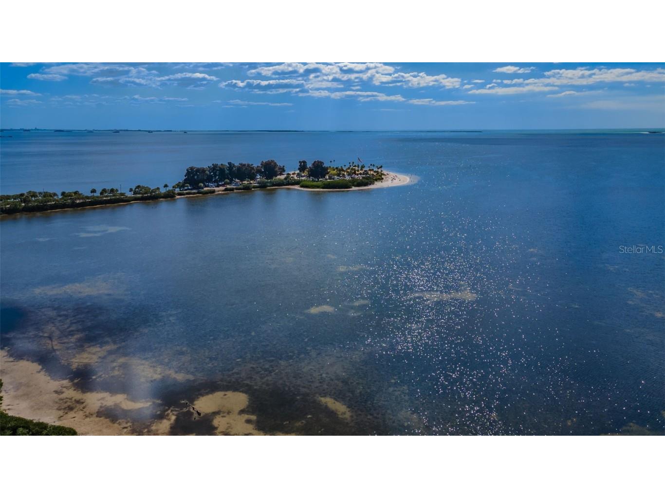 421 Windrush Bay Drive #421 Tarpon Springs FL 34689 TB8451661 image56