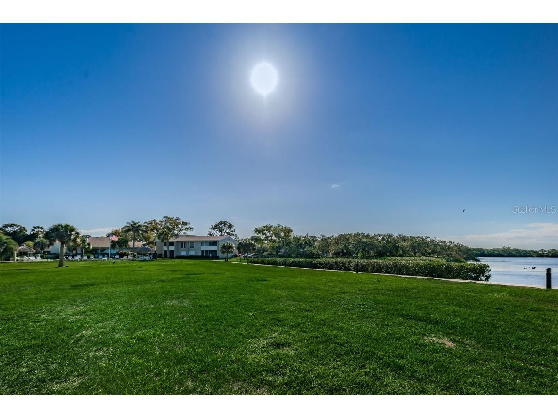 421 Windrush Bay Drive #421 Tarpon Springs FL 34689 TB8451661 image58