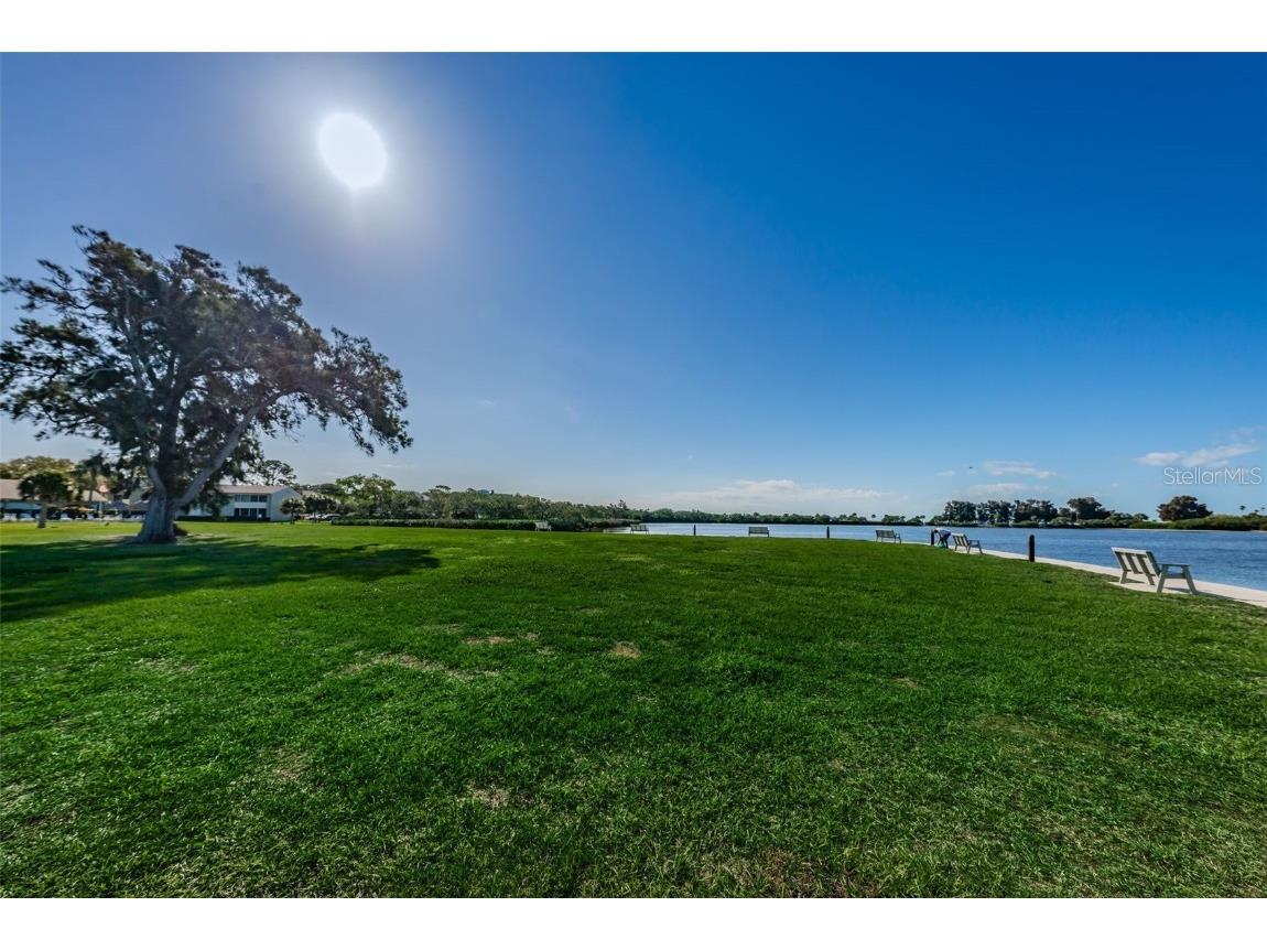 421 Windrush Bay Drive #421 Tarpon Springs FL 34689 TB8451661 image60