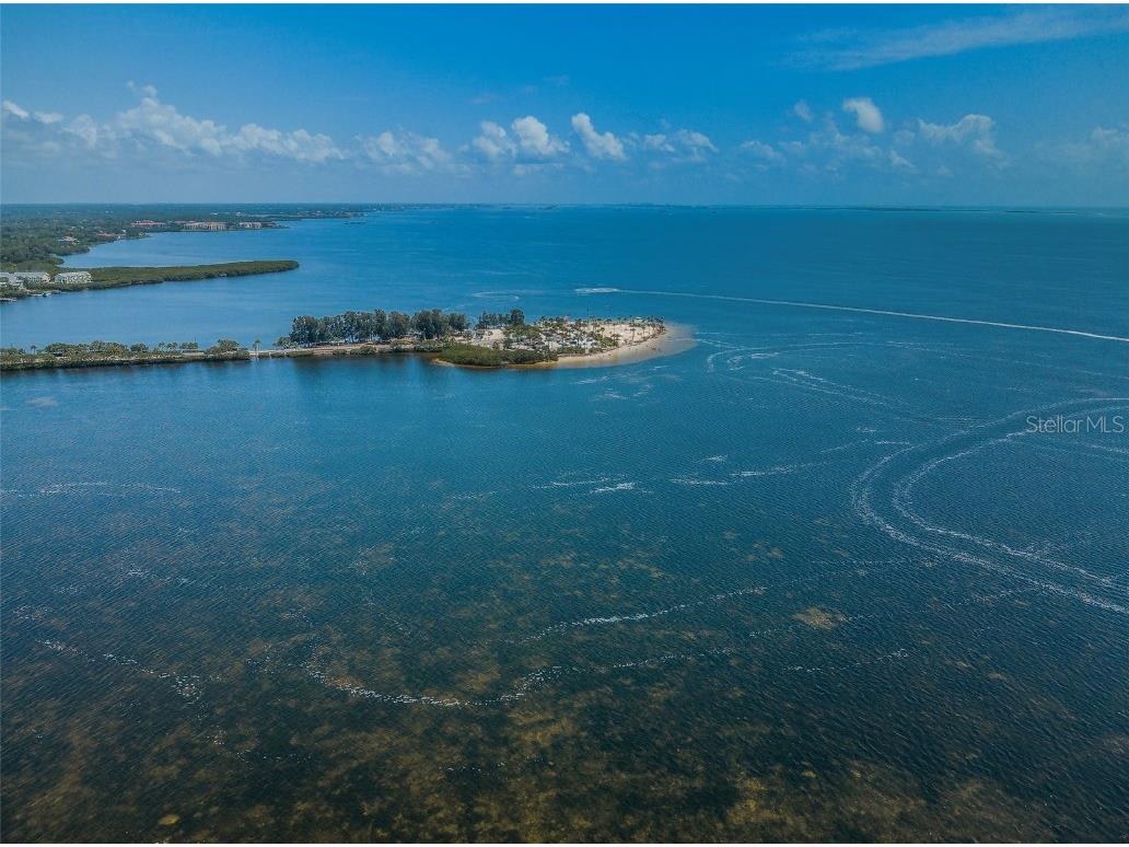 421 Windrush Bay Drive #421 Tarpon Springs FL 34689 TB8451661 image62