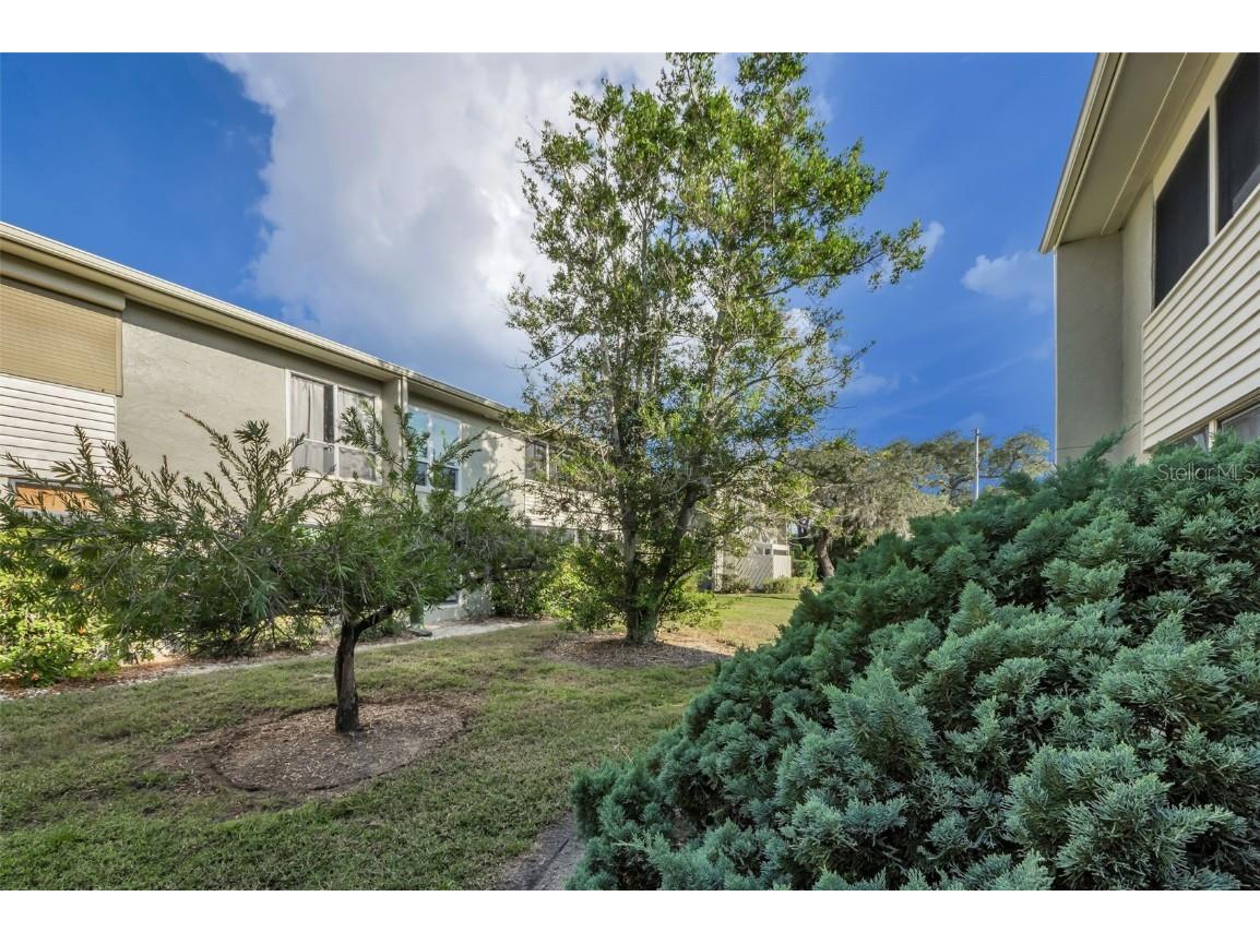 421 Windrush Bay Drive #421 Tarpon Springs FL 34689 TB8451661 image74