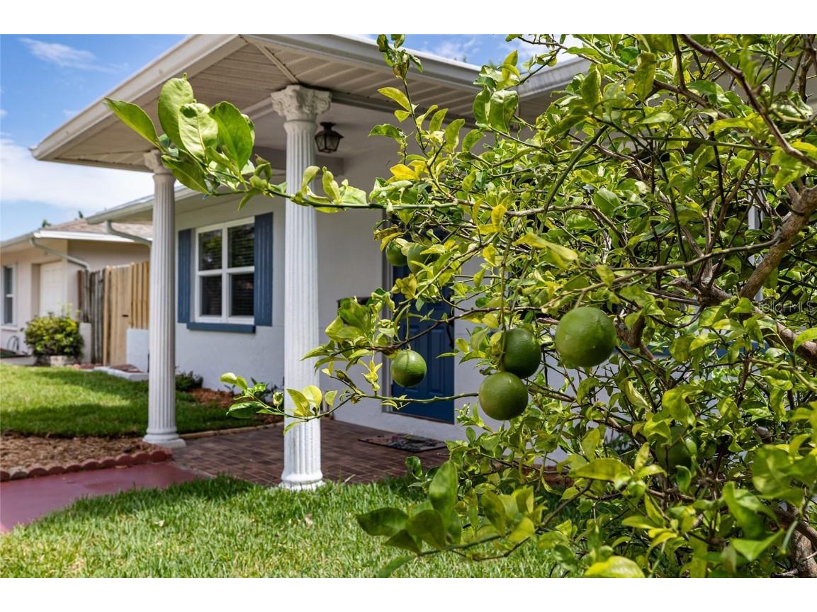 4210 25th Avenue N Saint Petersburg FL 33713 TB8420293 image18