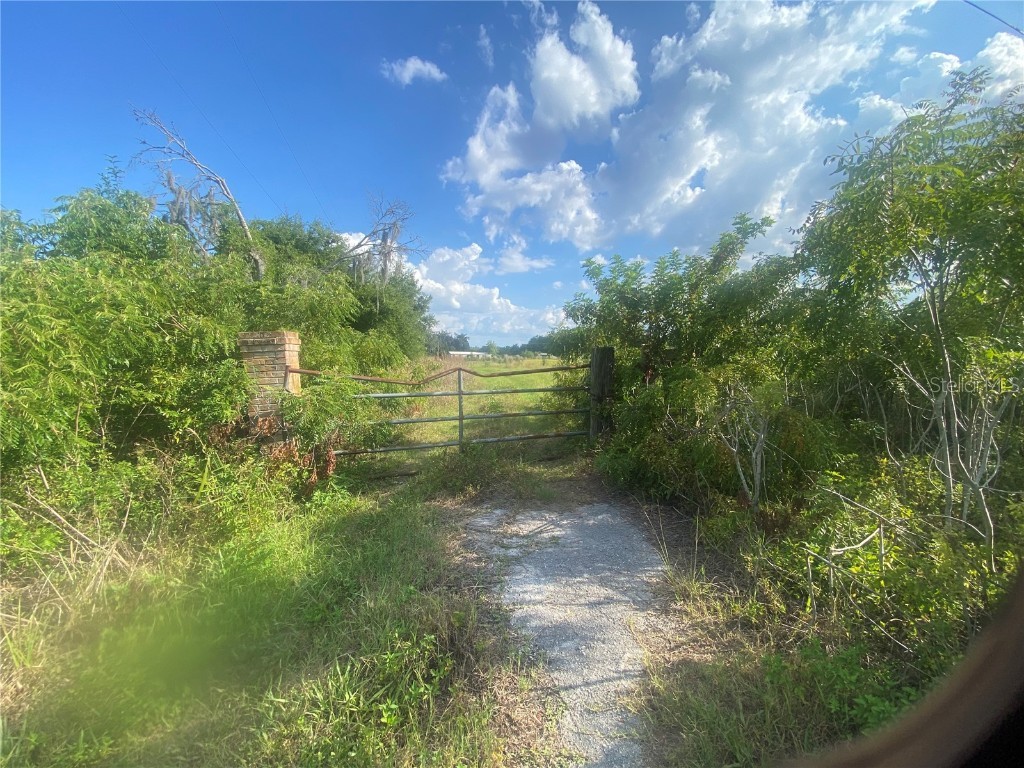 4210 Cardinal Lane Kissimmee FL 34744 B4901589 image5