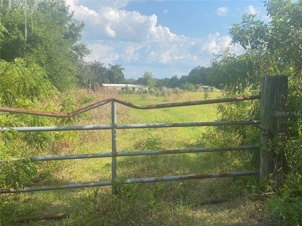 4210 Cardinal Lane Kissimmee FL 34744 B4901589 image6