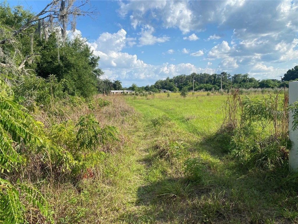 4210 Cardinal Lane Kissimmee FL 34744 B4901589 image7