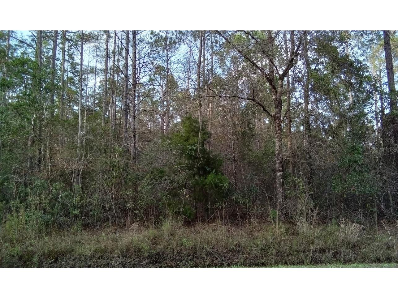 4210 Edward Street Hastings FL 32145 OM675166 image1