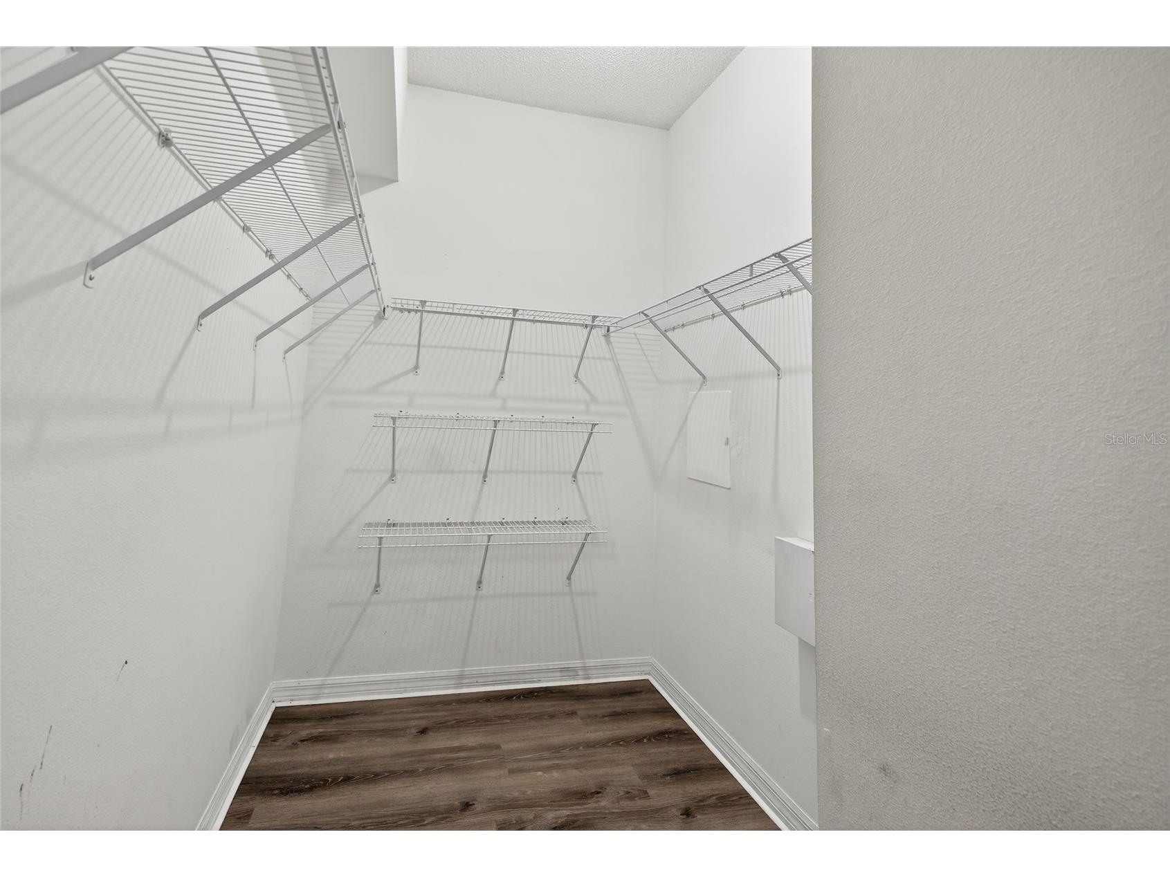 4210 Harbor Lake Drive Lutz FL 33558 TB8487131 image19