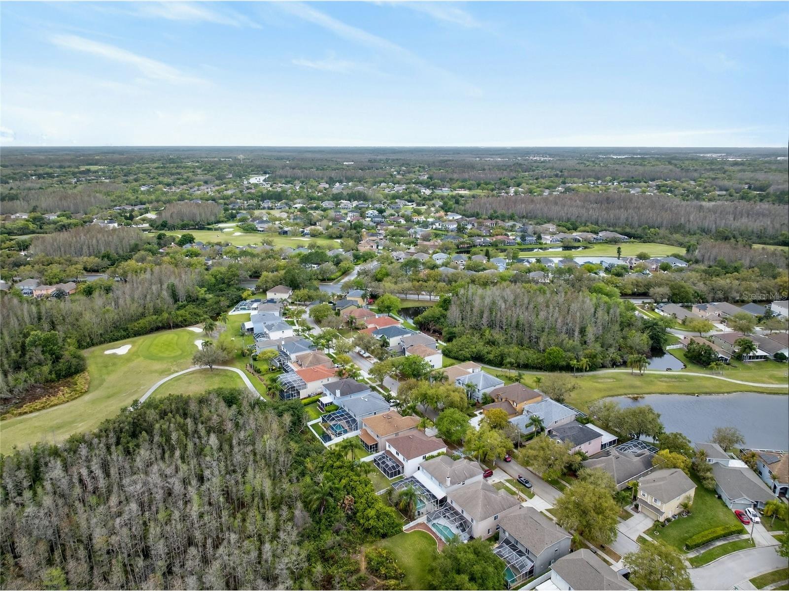 4210 Harbor Lake Drive Lutz FL 33558 TB8487131 image33