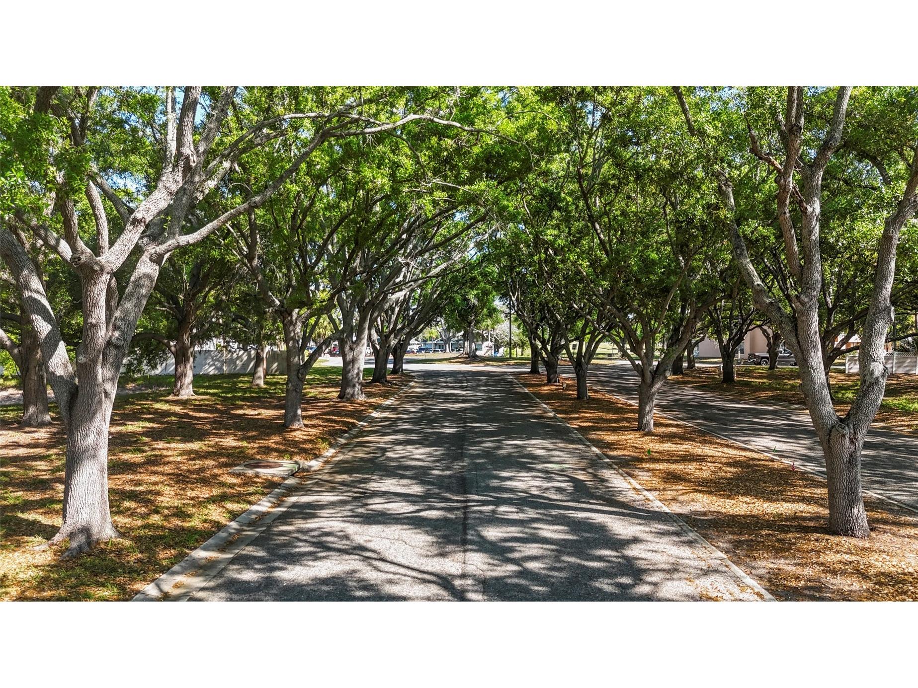 4210 Ironwood Circle #308J Bradenton FL 34209 A4688155 image3