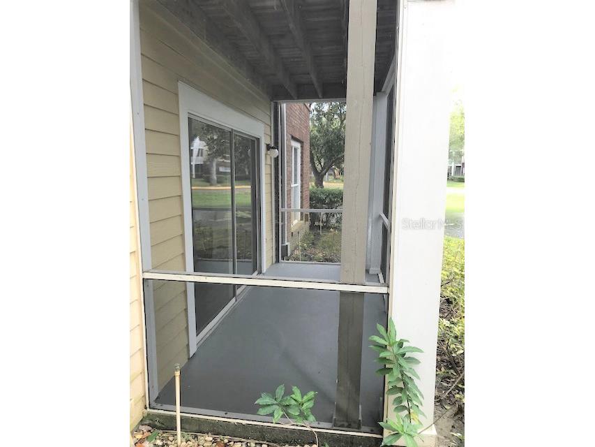 4211 Chatham Oak Court #102 Tampa FL 33624 TB8521343 image21