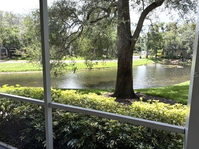4211 Chatham Oak Court #102 Tampa FL 33624 TB8521343 image22
