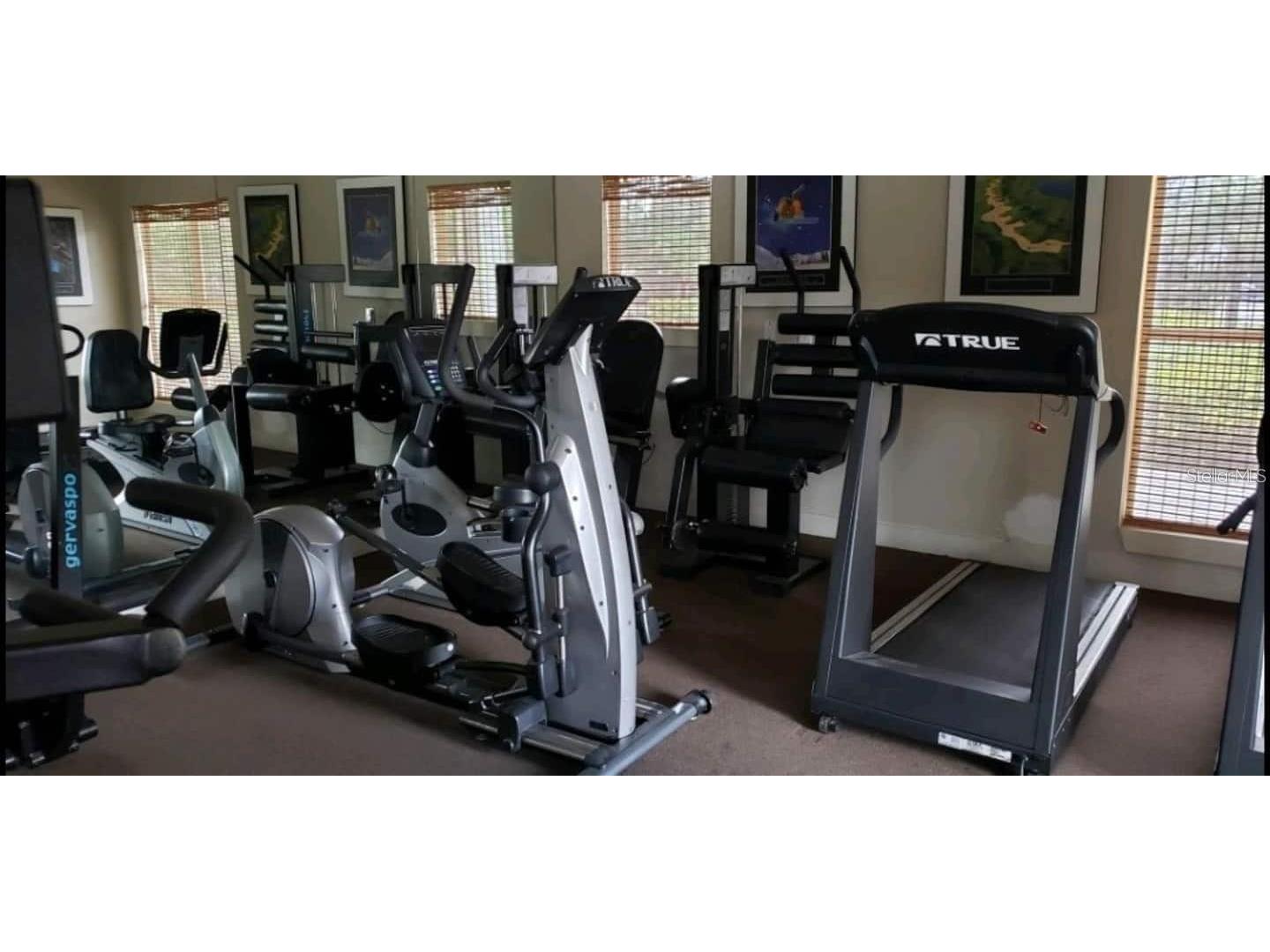 4211 Chatham Oak Court #102 Tampa FL 33624 TB8521343 image24