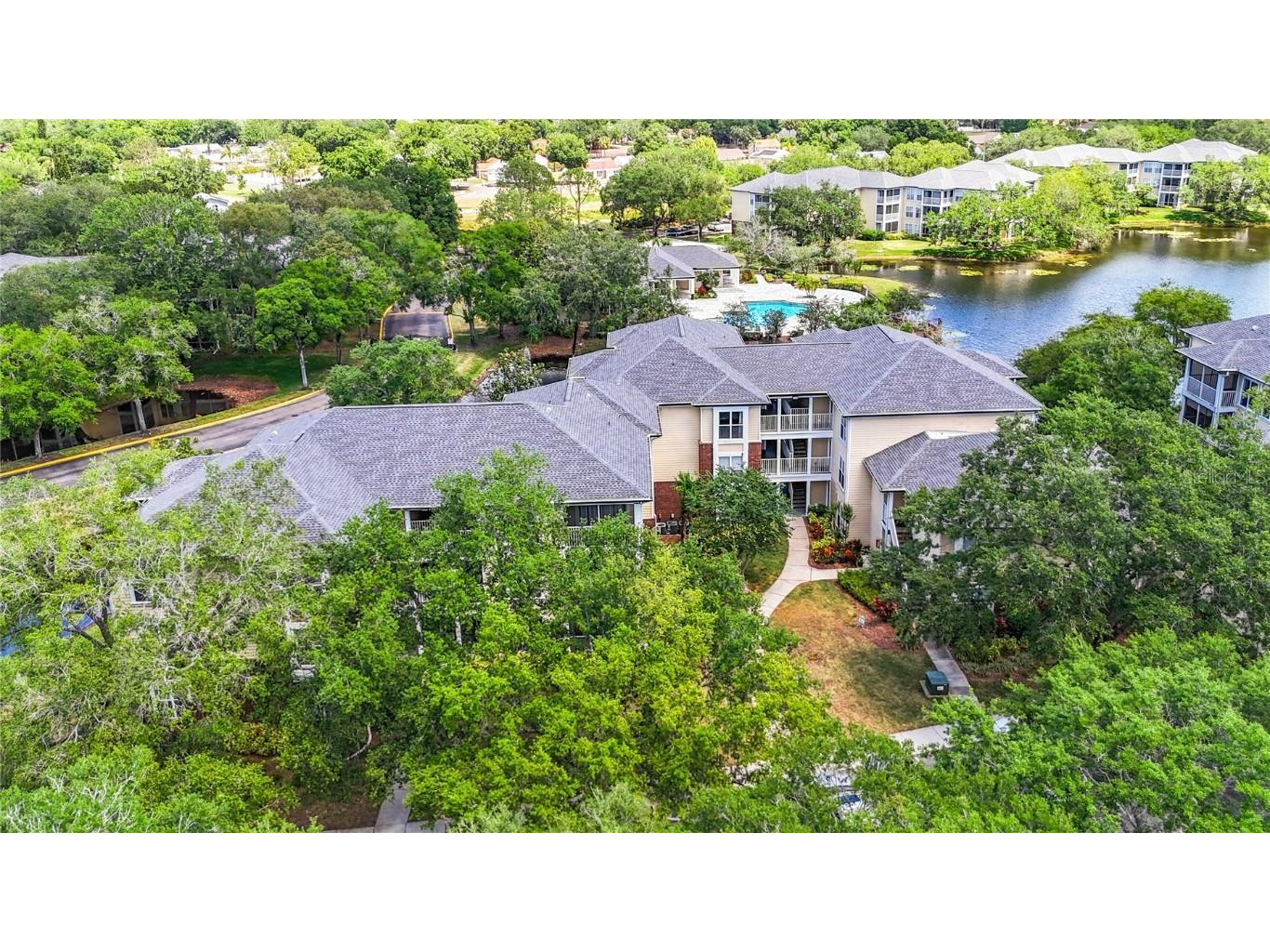 4211 Chatham Oak Court #104 Tampa FL 33624 T3519637 image1