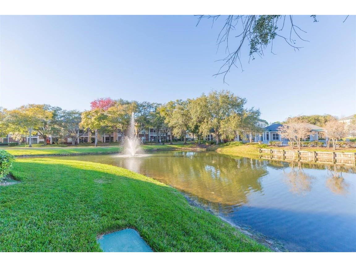 4211 Chatham Oak Court #107 Tampa FL 33624 TB8429057 image31