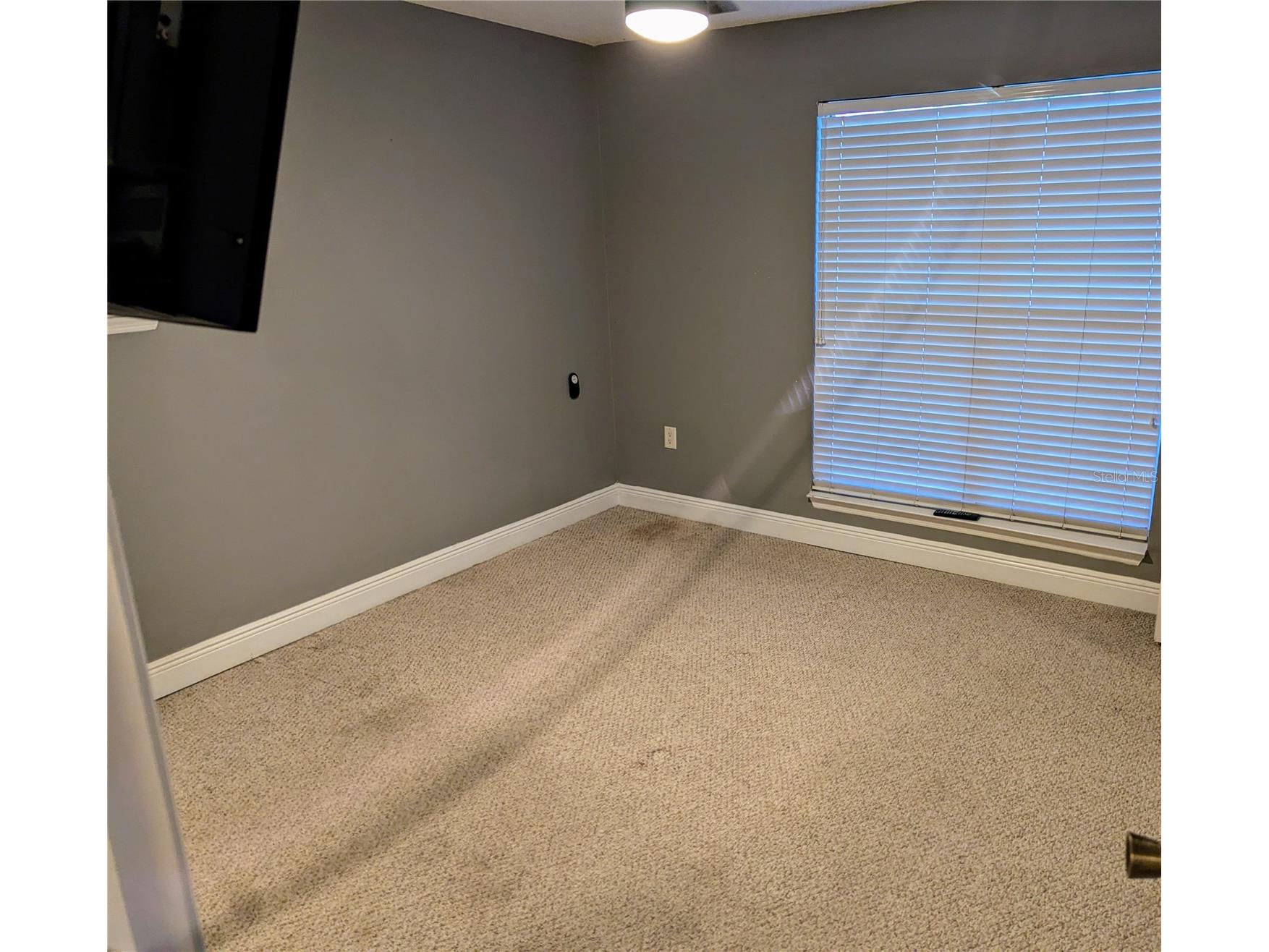 4211 Chatham Oak Court #111 Tampa FL 33624 TB8517147 image10