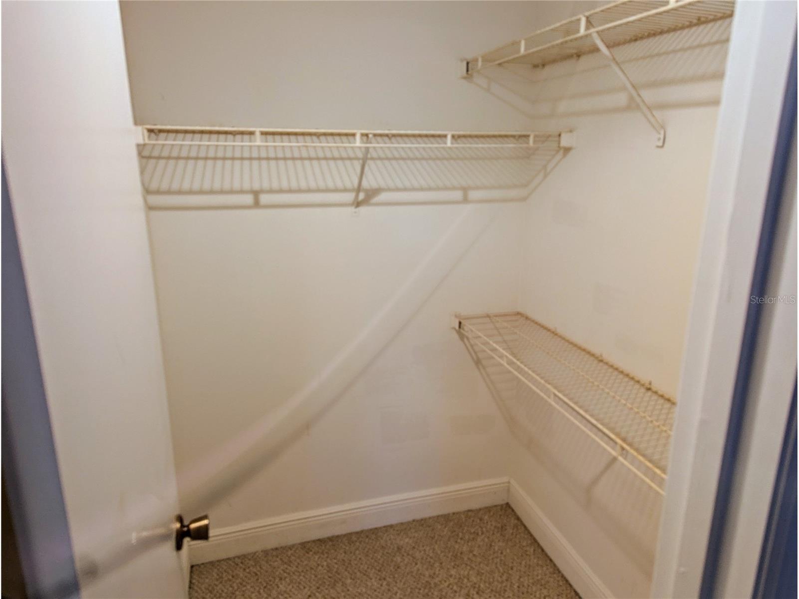 4211 Chatham Oak Court #111 Tampa FL 33624 TB8517147 image11