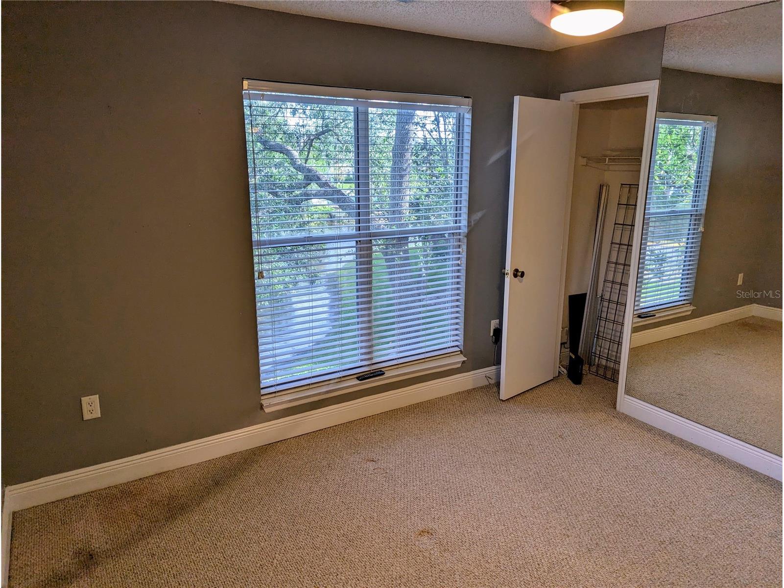 4211 Chatham Oak Court #111 Tampa FL 33624 TB8517147 image12