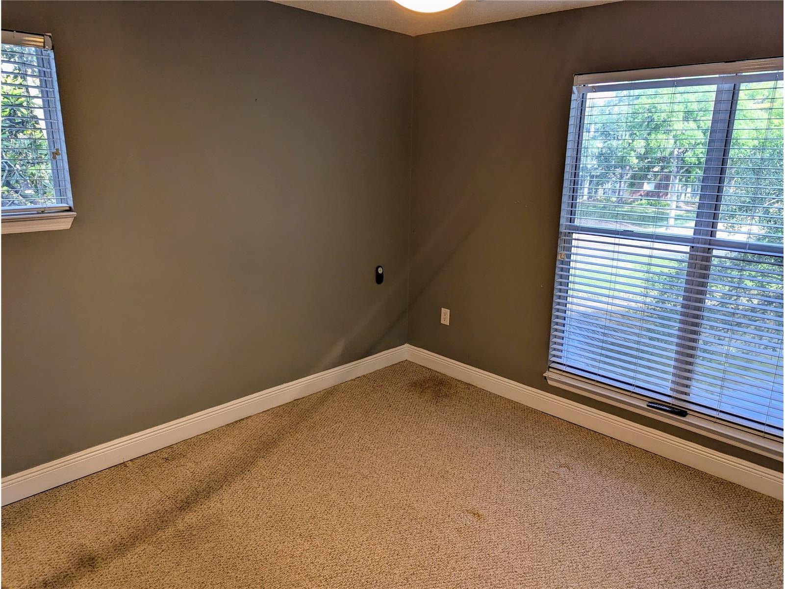 4211 Chatham Oak Court #111 Tampa FL 33624 TB8517147 image13