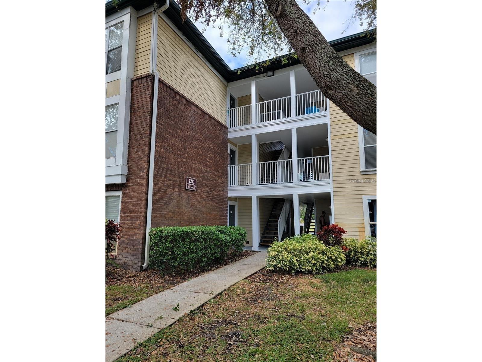 4211 Chatham Oak Court #113 Tampa FL 33624 TB8462550 image1