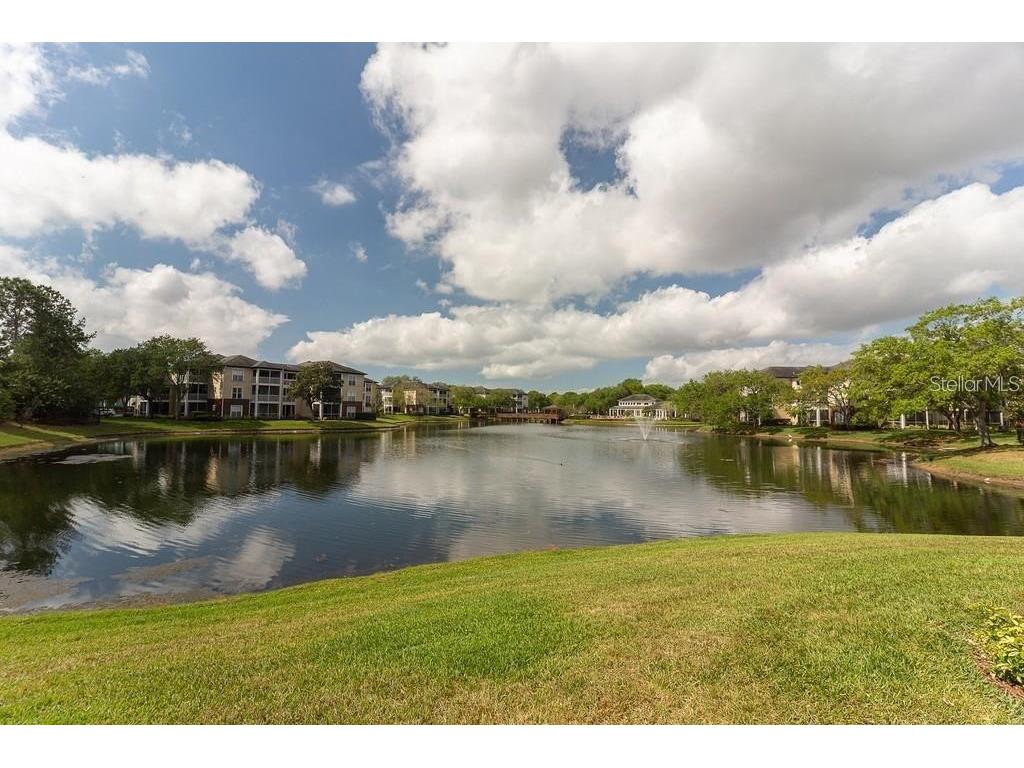 4211 Chatham Oak Court #113 Tampa FL 33624 TB8462550 image17