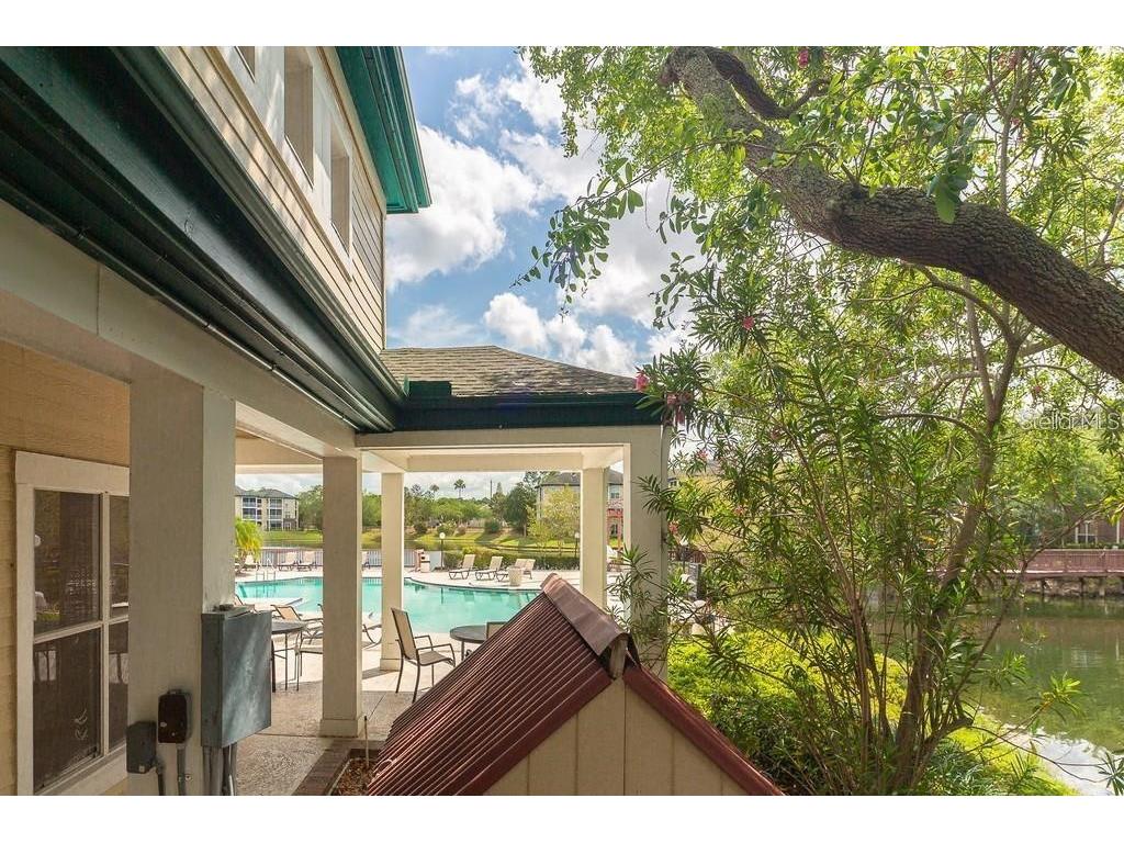 4211 Chatham Oak Court #113 Tampa FL 33624 TB8462550 image18
