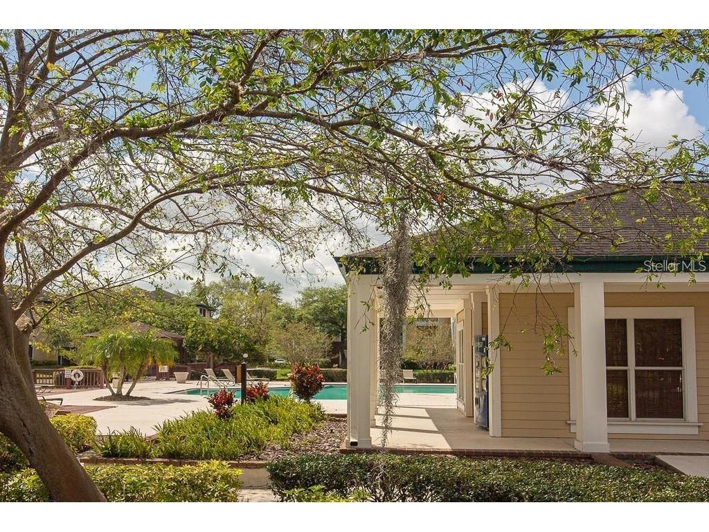 4211 Chatham Oak Court #113 Tampa FL 33624 TB8462550 image20