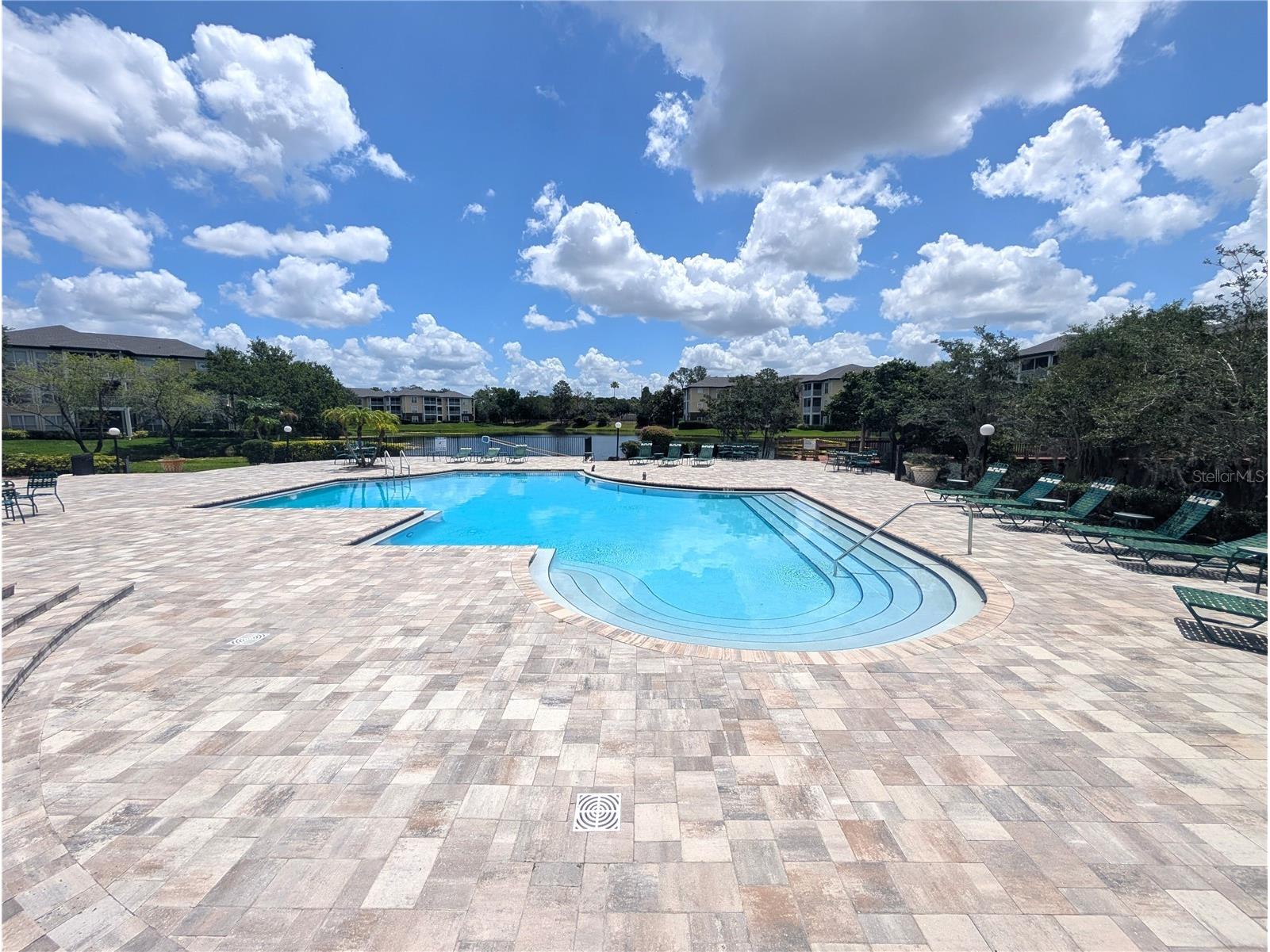 4211 Chatham Oak Court #124 Tampa FL 33624 O6410153 image17
