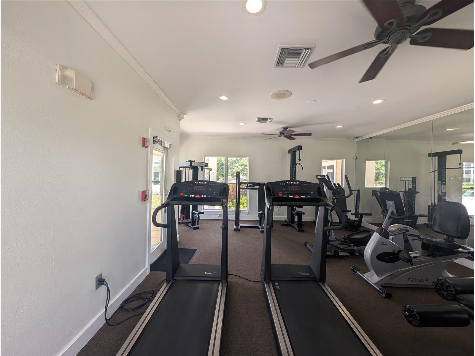 4211 Chatham Oak Court #124 Tampa FL 33624 O6410153 image19