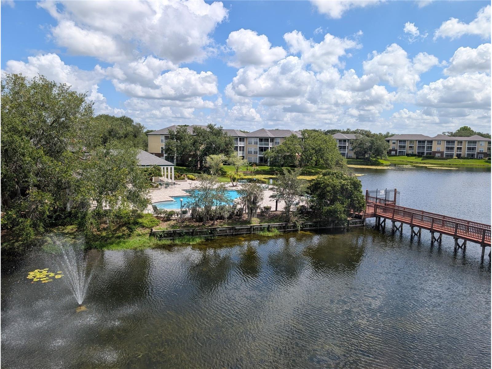 4211 Chatham Oak Court #124 Tampa FL 33624 O6410153 image20