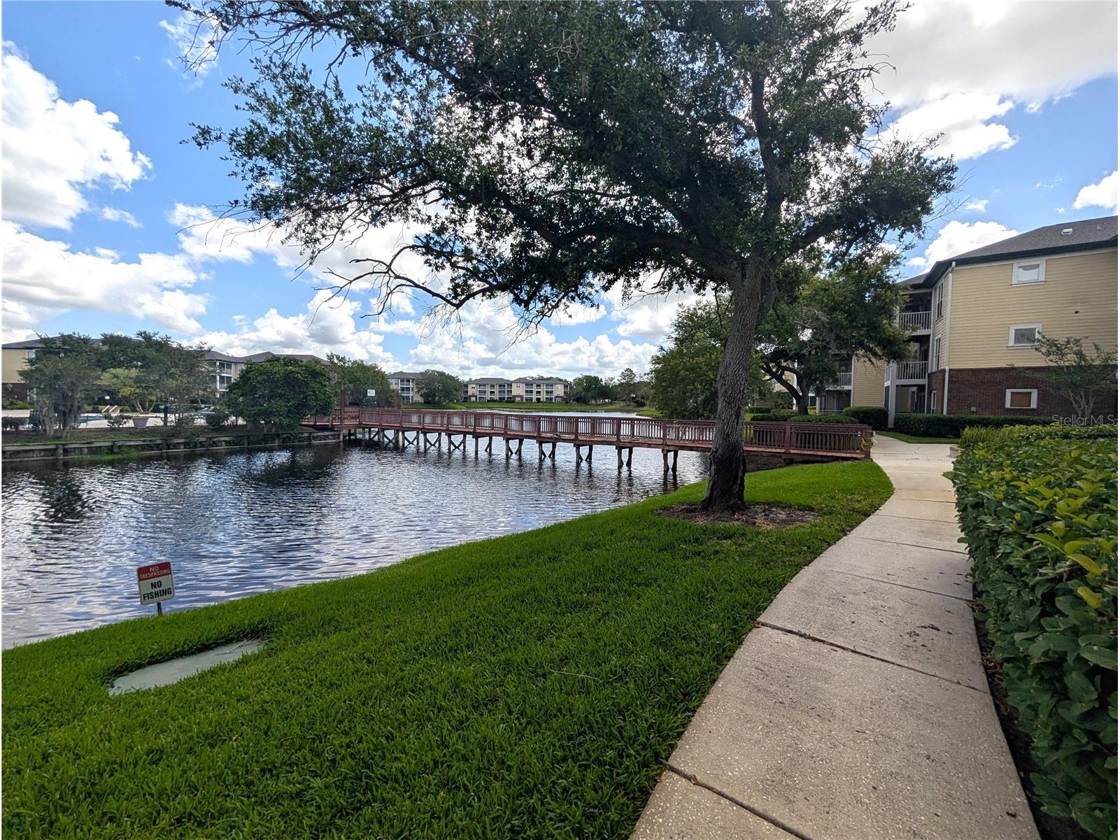 4211 Chatham Oak Court #124 Tampa FL 33624 O6410153 image21
