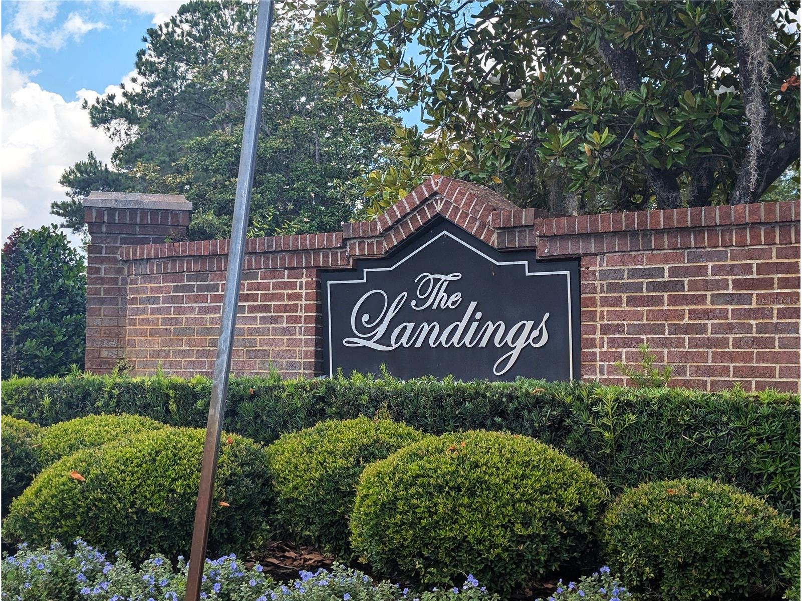 4211 Chatham Oak Court #124 Tampa FL 33624 O6410153 image23