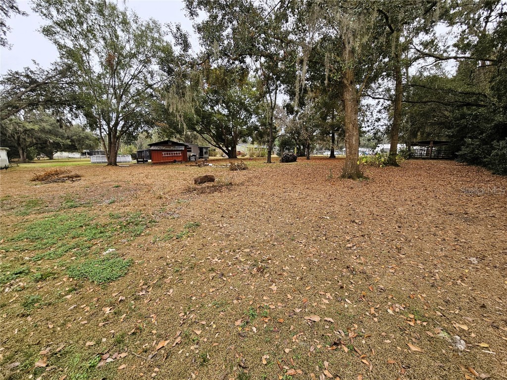 4211 Lowell Lane Zephyrhills FL 33541 TB8454625 image32