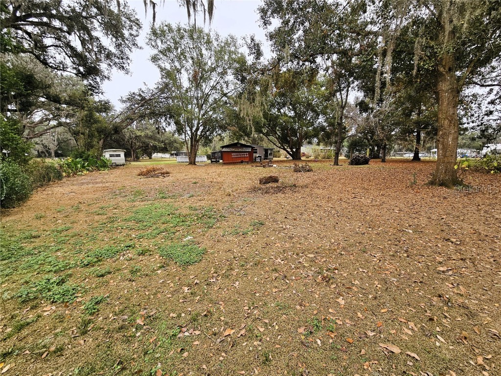 4211 Lowell Lane Zephyrhills FL 33541 TB8454625 image33