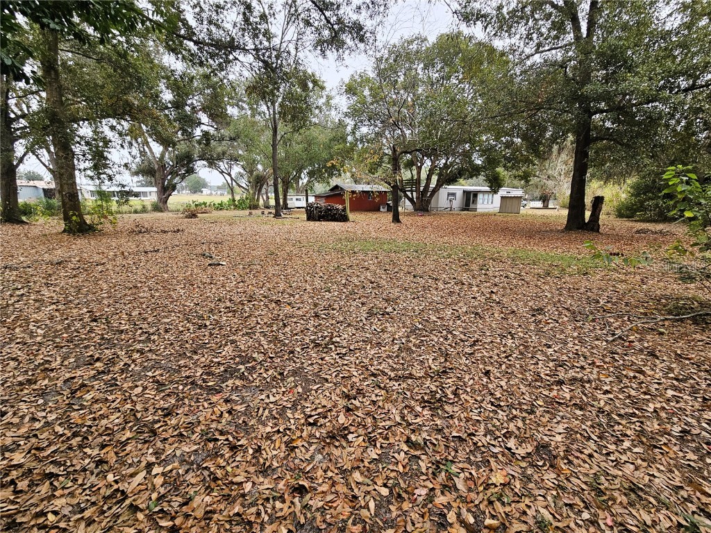 4211 Lowell Lane Zephyrhills FL 33541 TB8454677 image27