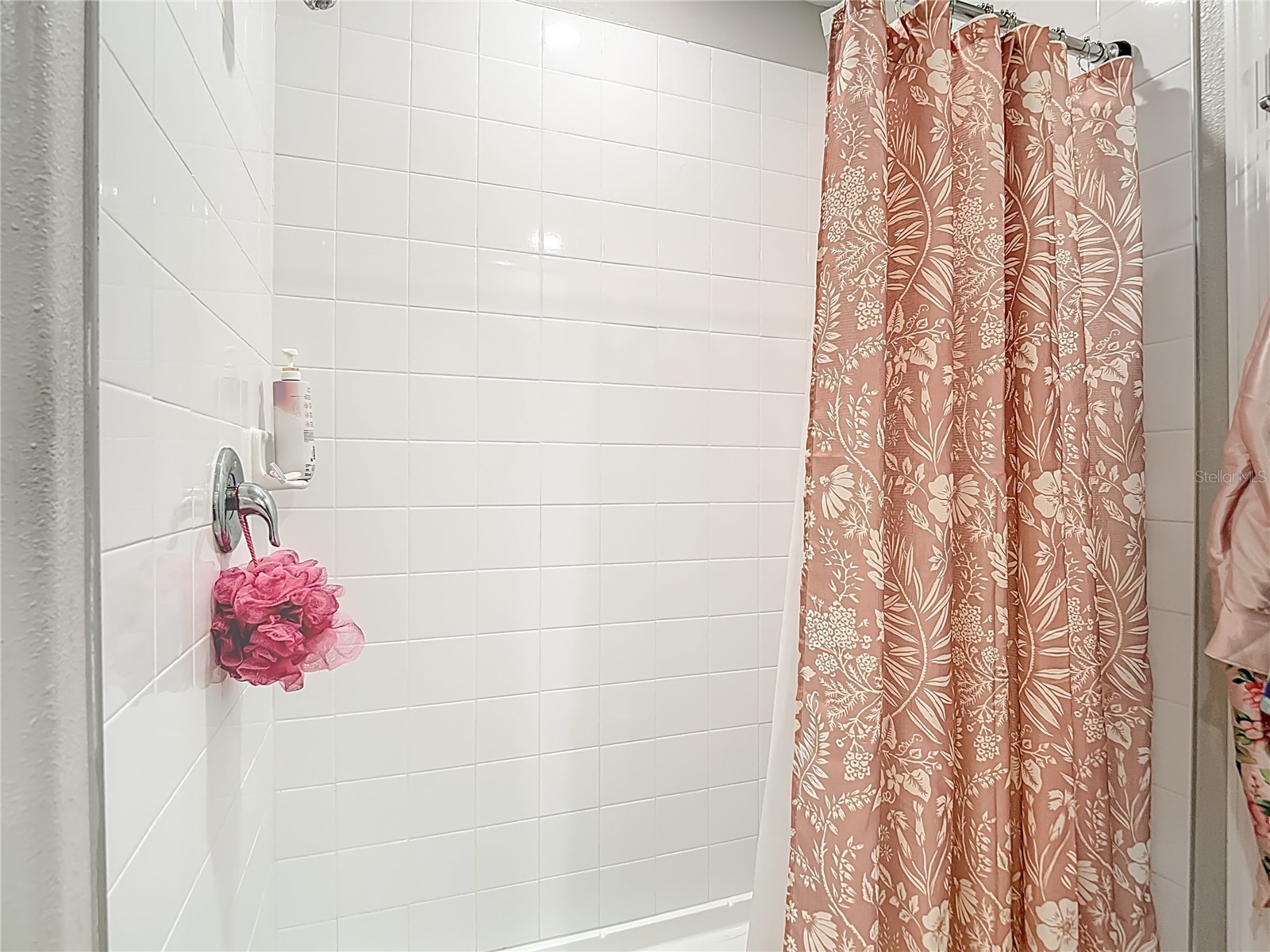 4211 Romano Busciglio Street Tampa FL 33619 TB8479595 image34