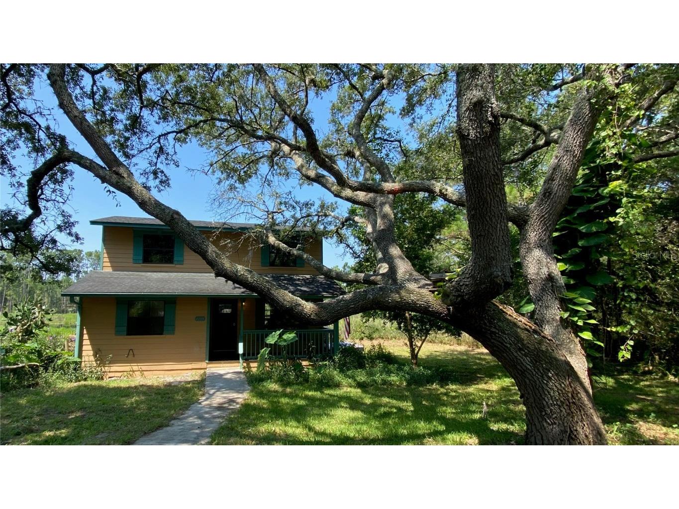 42111 Chinaberry Court Eustis FL 32736 O6125920 image1