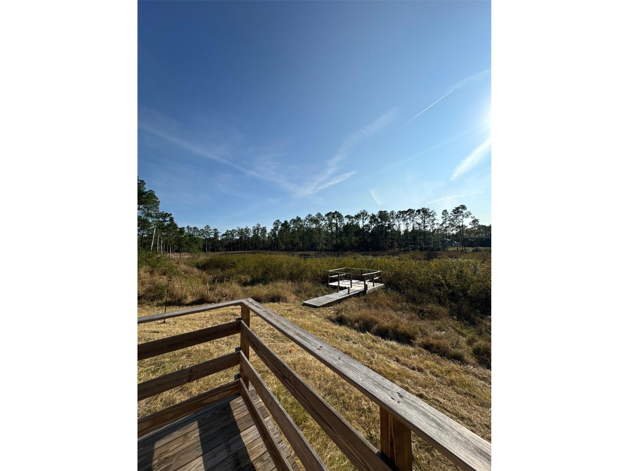 42111 Chinaberry Court Eustis FL 32736 O6367568 image6