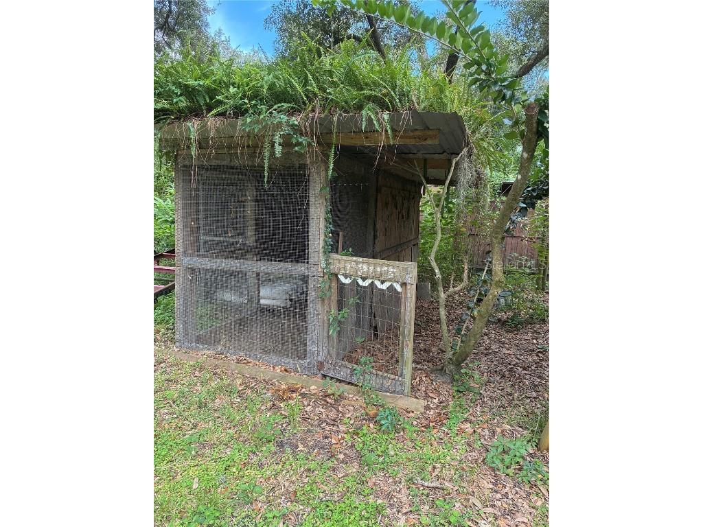 42114 W Lakeview Drive Altoona FL 32702 - LITTLE MINNEOLA LAKE G5101019 image24