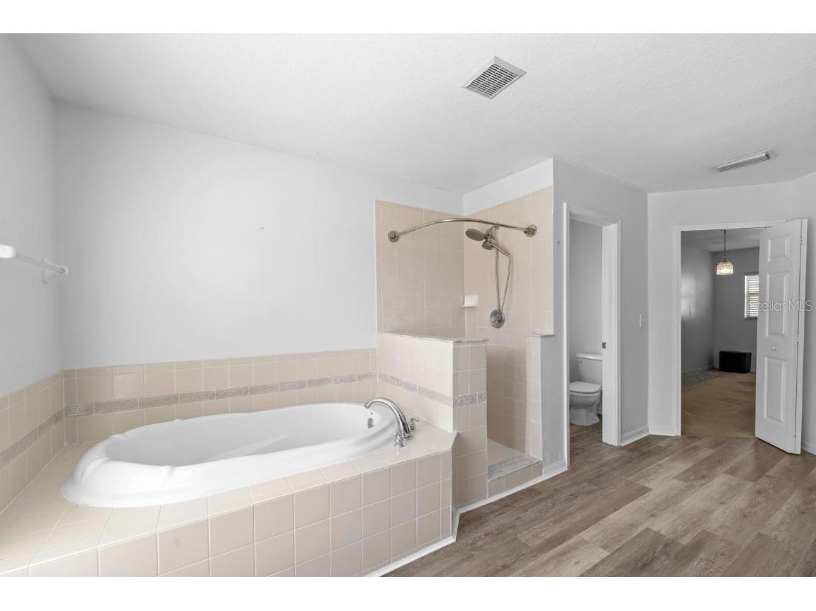 4212 Balington Drive Valrico FL 33596 TB8428533 image22