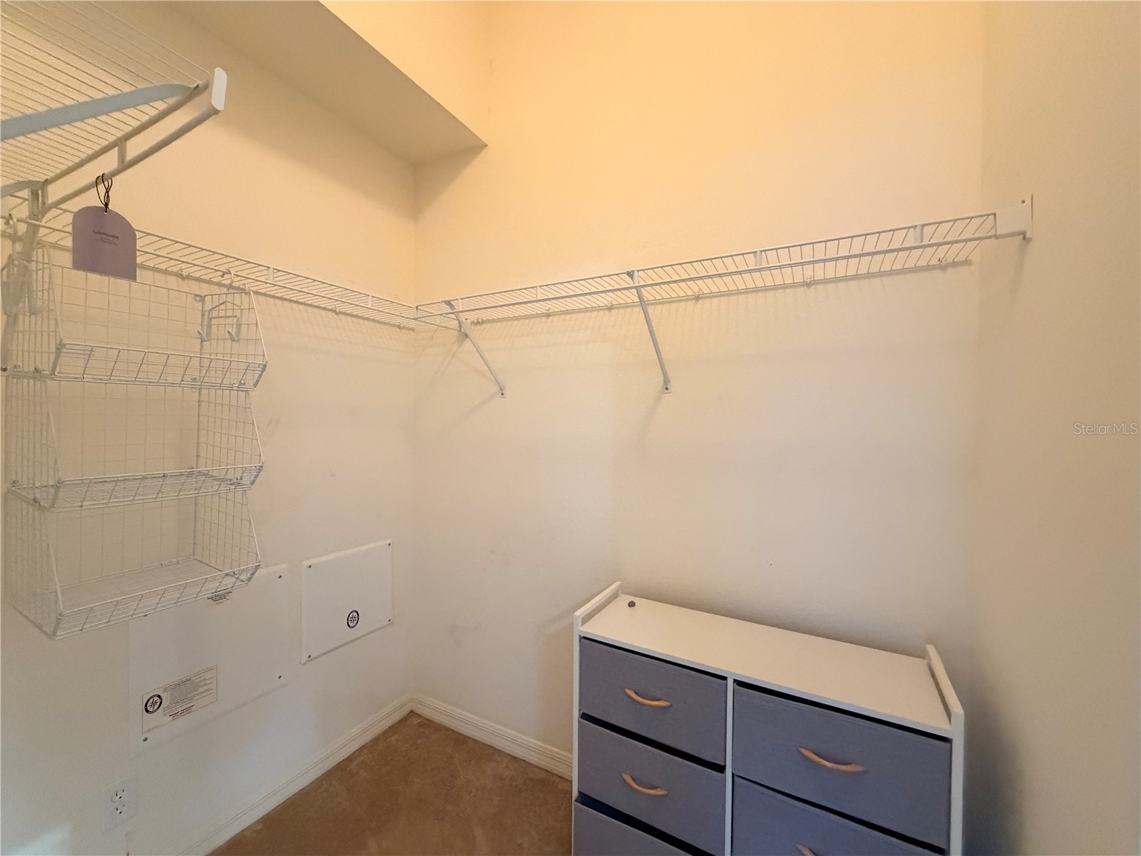 4212 Bismarck Palm Drive Tampa FL 33610 TB8502954 image34
