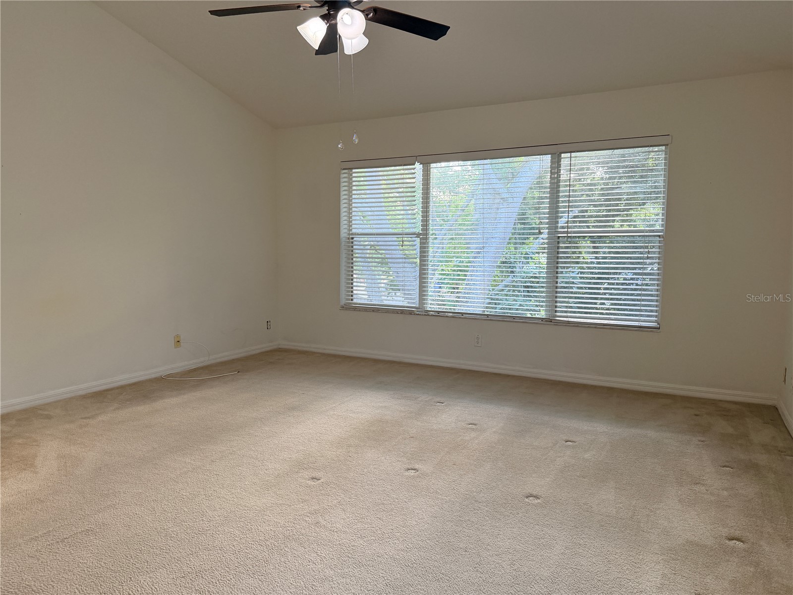 4212 Bismarck Palm Drive Tampa FL 33610 TB8502954 image35