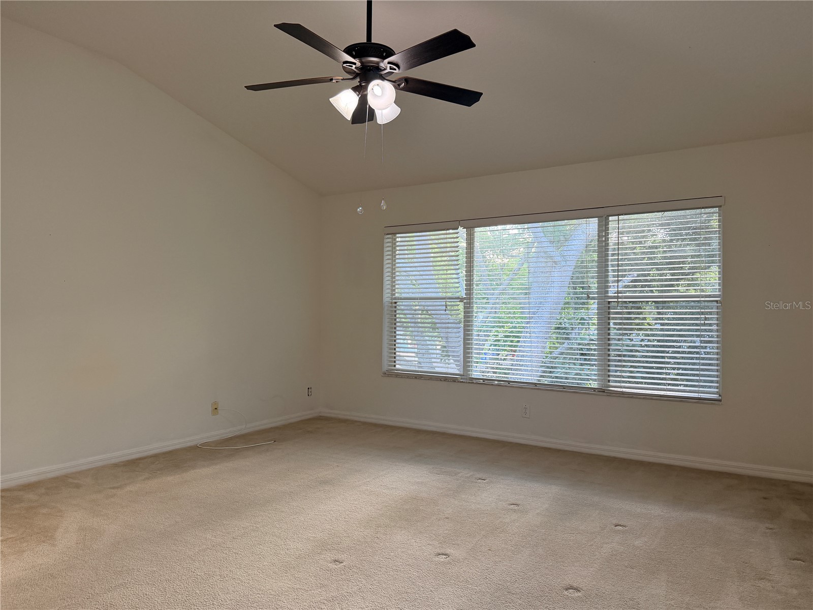 4212 Bismarck Palm Drive Tampa FL 33610 TB8502954 image36