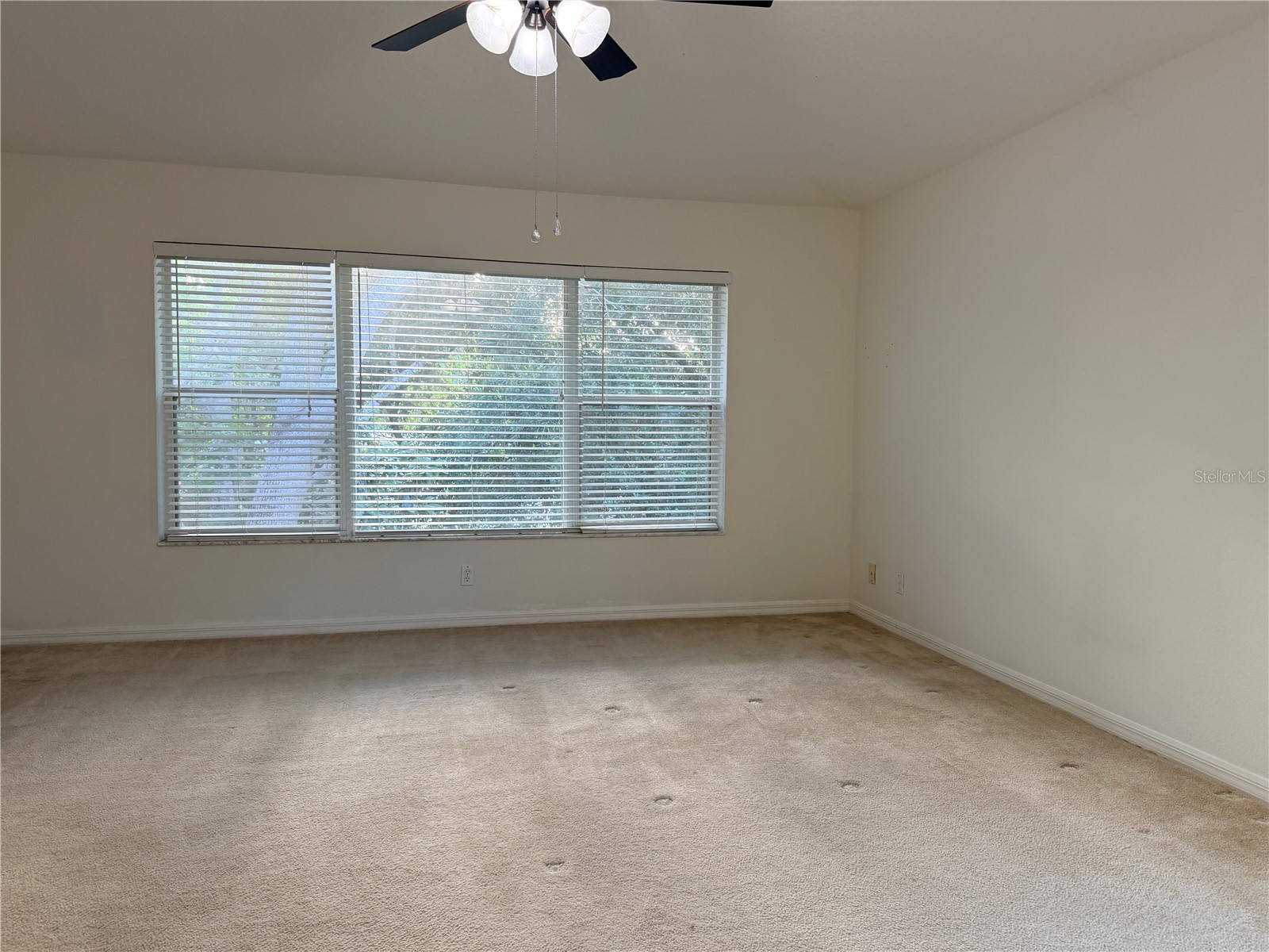 4212 Bismarck Palm Drive Tampa FL 33610 TB8502954 image40
