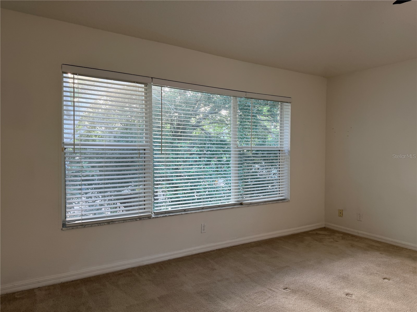 4212 Bismarck Palm Drive Tampa FL 33610 TB8502954 image41