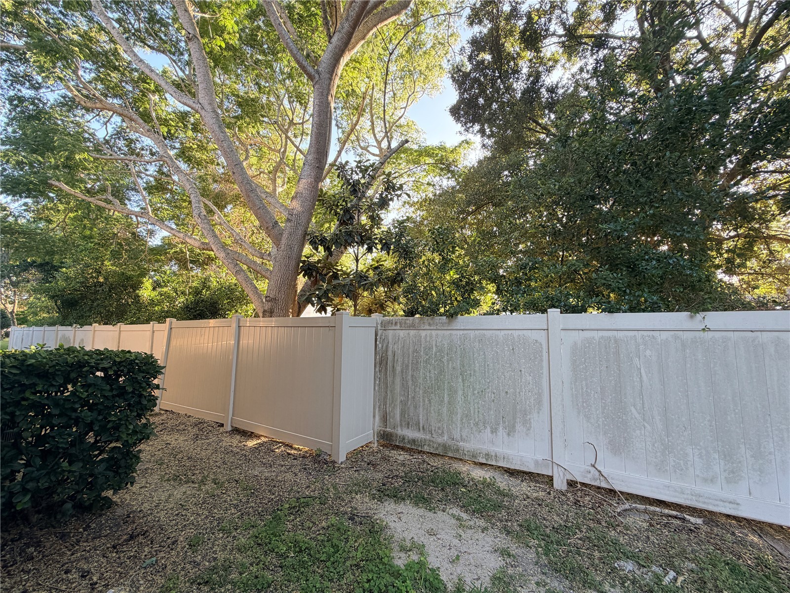 4212 Bismarck Palm Drive Tampa FL 33610 TB8502954 image47