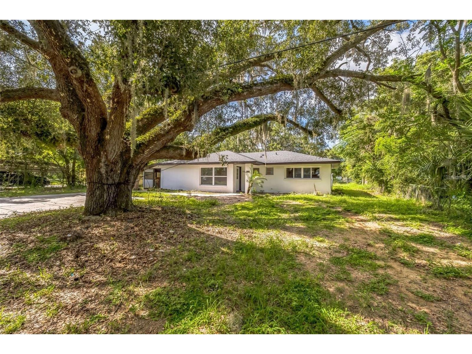 4212 Harry Drive Fruitland Park FL 34731 S5145577 image1