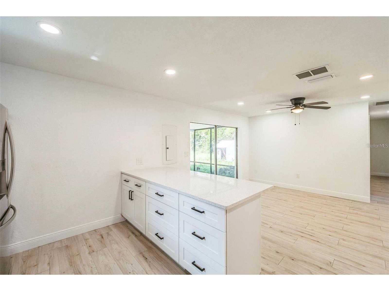 4212 Harry Drive Fruitland Park FL 34731 S5145577 image11